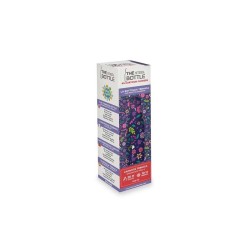 The Steel Bottle  5 Cartoon Flowers 500 ml