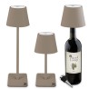 The Steel Lamp 3 In 1 - Tortora