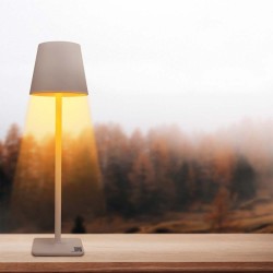The Steel Lamp 3 In 1 - Tortora